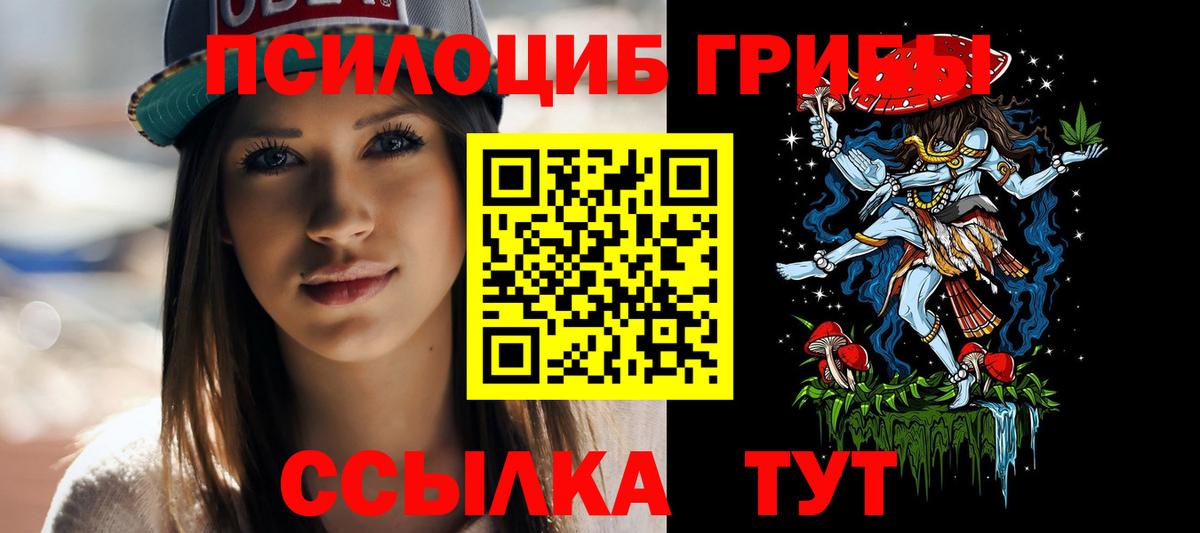 продажа наркотиков  Вход с VPN  Южноуральск  Галлюциногенные грибы MAGIC MUSHROOMS 